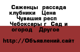 Саженцы, рассада клубники › Цена ­ 9 - Чувашия респ., Чебоксары г. Сад и огород » Другое   